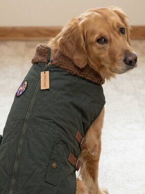⭐️Host Pick⭐️NWT Ireenu Cozy Dog Coat 2XL